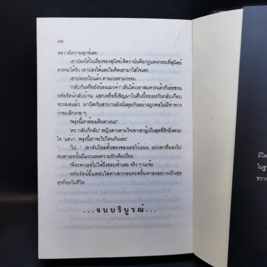 ไปให้สุดขอบฟ้า - เพชรลดา รูปที่ 11