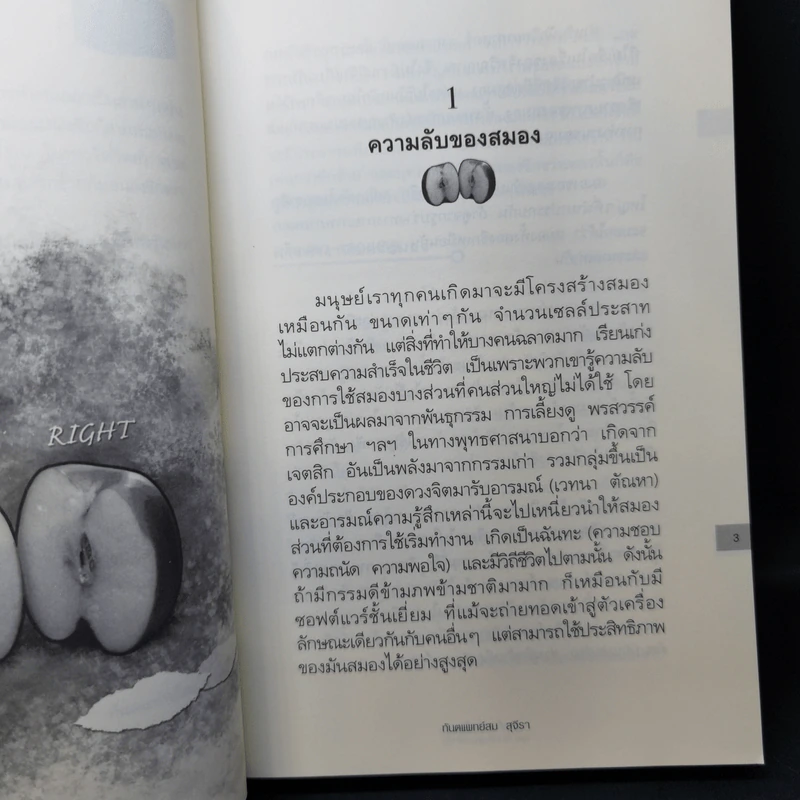 เดอะท็อปซีเคร็ต II - ทันตแพทย์สม สุจีรา รูปที่ 11
