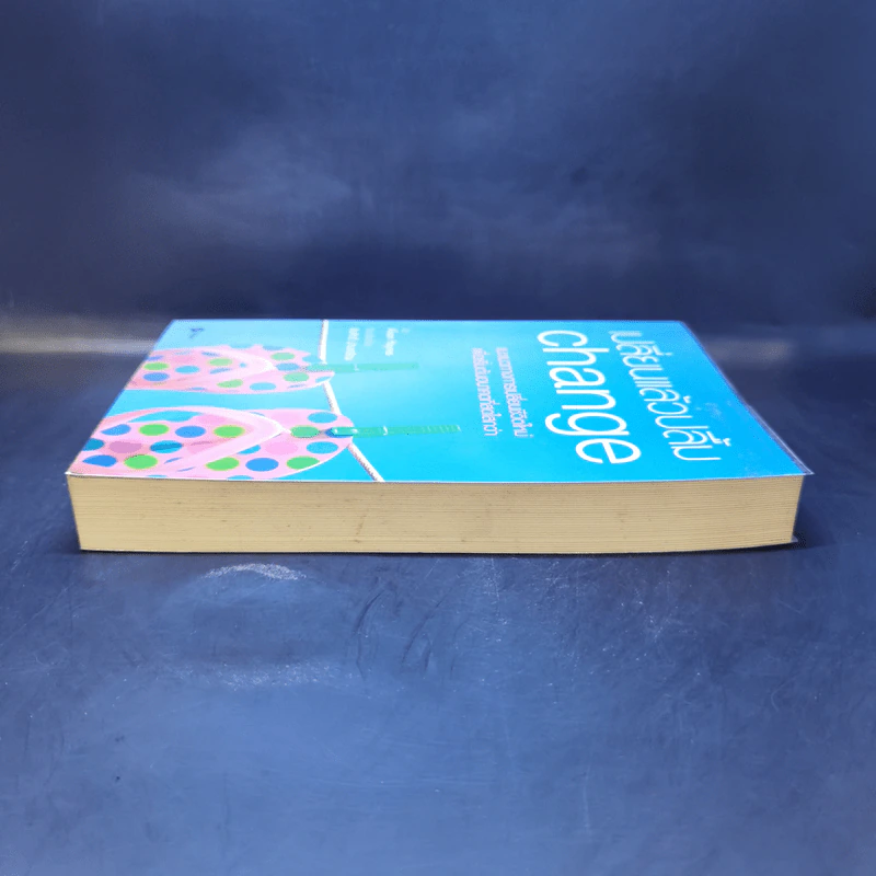 เปลี่ยนแล้วปลื้ม Change - Alison Haynes รูปที่ 5