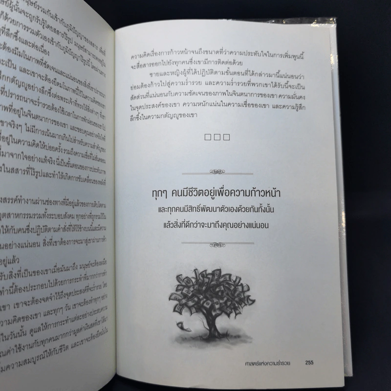 ศาสตร์สู่ความยิ่งใหญ่ The Science of Success - วอลเลซ ดี. วัทเทิลส์ รูปที่ 12