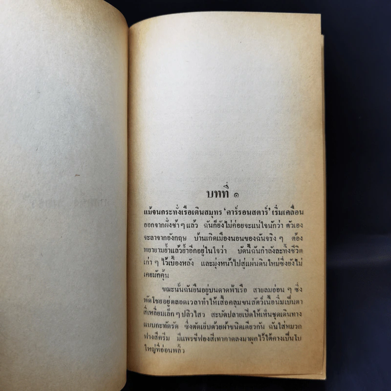 เงาเสือ - วิคทอเรีย โฮลท์ รูปที่ 10