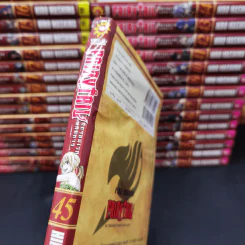 Fairy Tail ศึกจอมเวทอภินิหาร เล่ม 1-45 รูปที่ 8