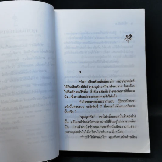 หัวใจมีเงา - ชลาลัย รูปที่ 9