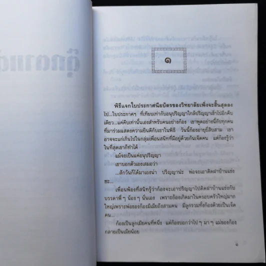 ตุ๊กตาแต้มสี - สุนันทา รูปที่ 9