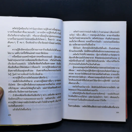 รอยร้าวในสายรัก - ไพโรจน์ บุญประกอบ รูปที่ 10
