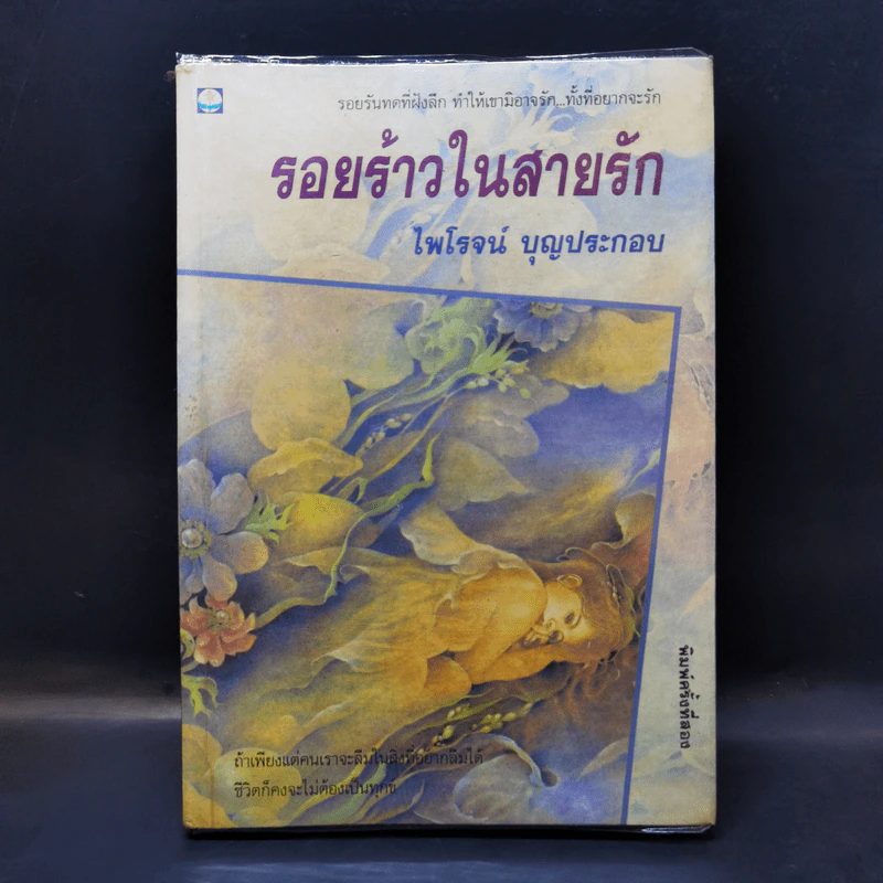 รอยร้าวในสายรัก - ไพโรจน์ บุญประกอบ รูปที่ 1