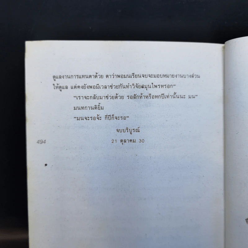 ก่อนสายหมอกเลือน - โบตั๋น รูปที่ 11