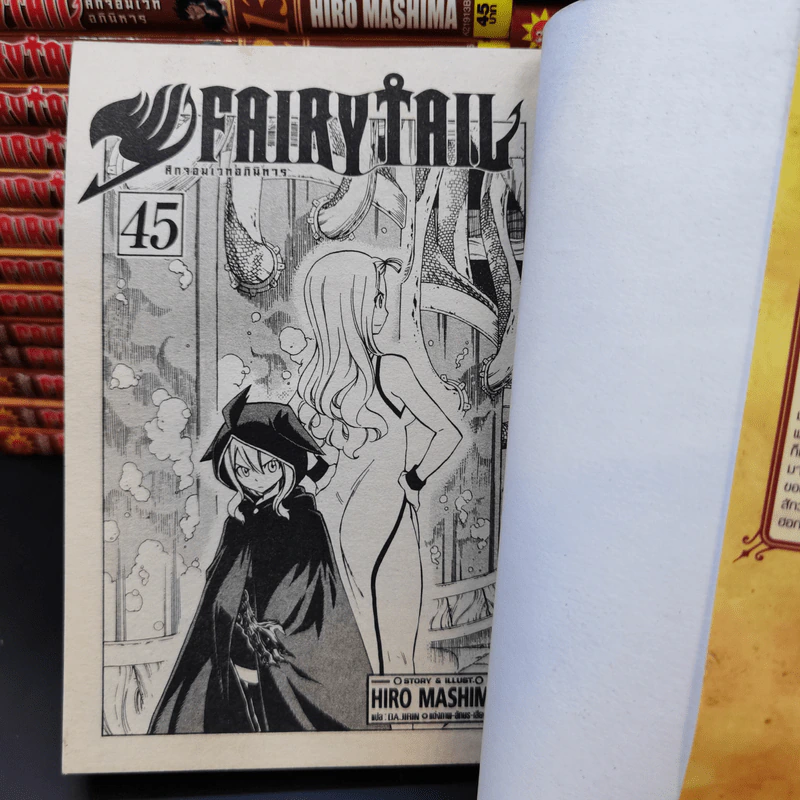 Fairy Tail ศึกจอมเวทอภินิหาร เล่ม 1-45 รูปที่ 9