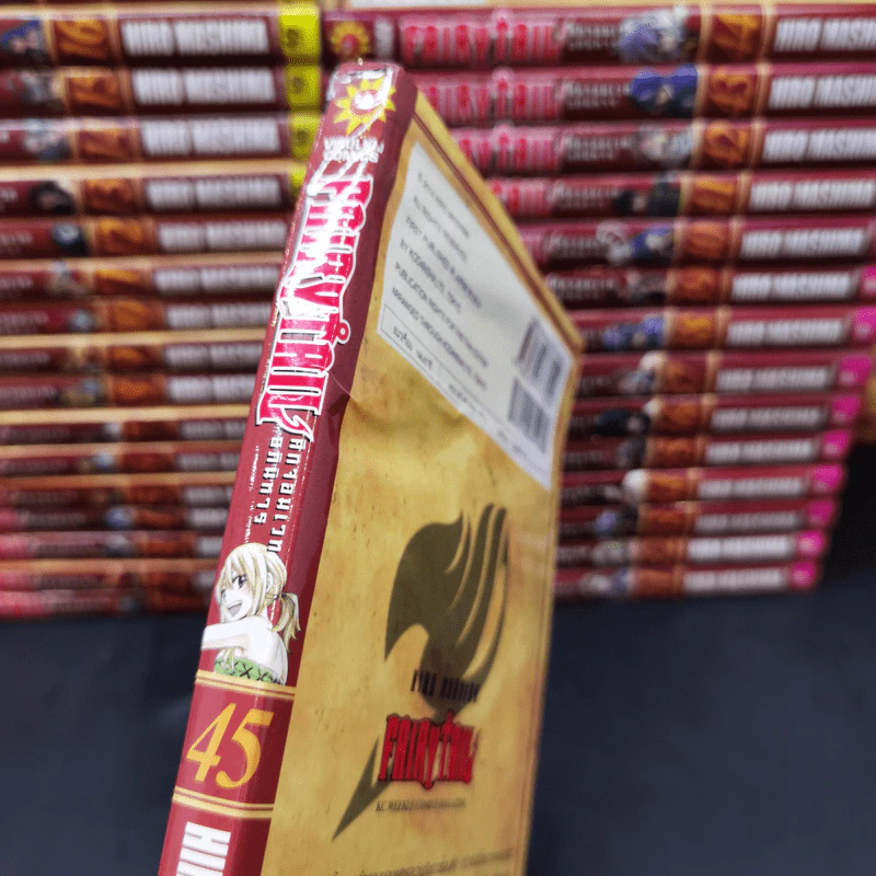Fairy Tail ศึกจอมเวทอภินิหาร เล่ม 1-45 รูปที่ 8