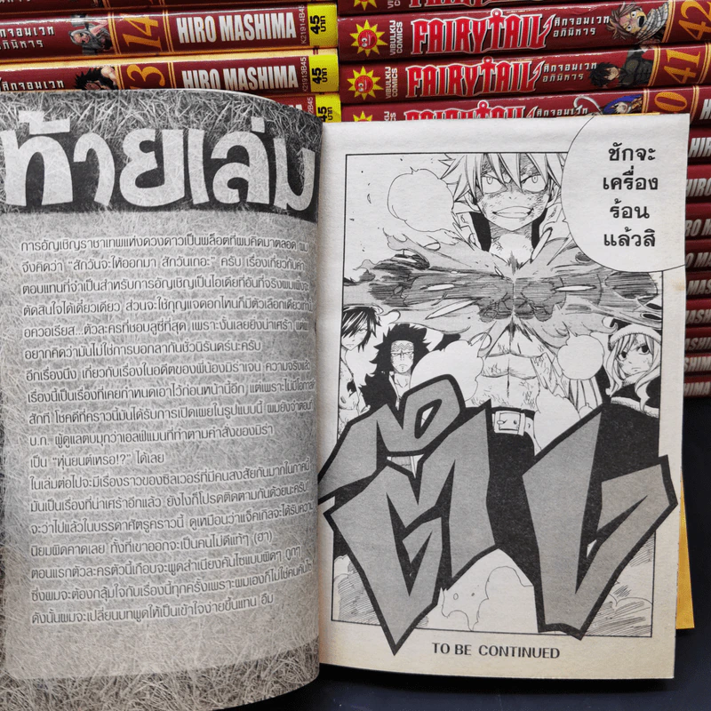 Fairy Tail ศึกจอมเวทอภินิหาร เล่ม 1-45 รูปที่ 13