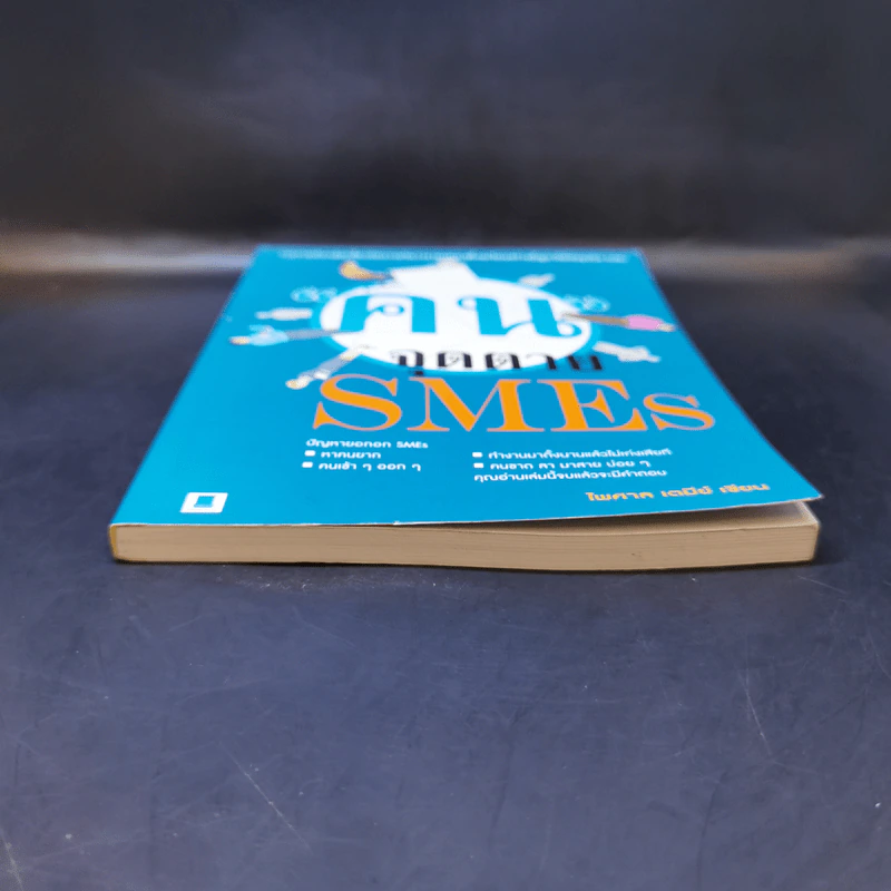 คนจุดตาย SMEs - ไพศาล เตมีย์ รูปที่ 4