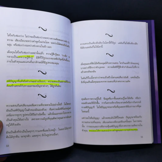 เสียงแห่งความสงบ - เอ็คฮาร์ท โทลเลอ (ผู้เขียนพลังแห่งจิตปัจจุบัน) รูปที่ 12