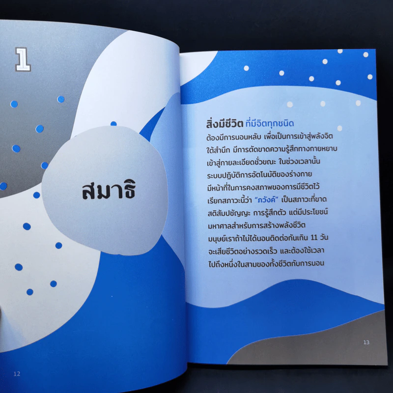 บรรลุญาณด้วยการนอน - ทันตแพทย์สม สุจีรา รูปที่ 10