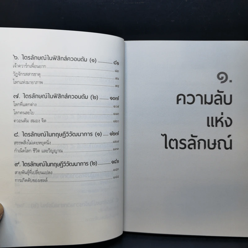 ไตรลักษณ์ในควอนตัม - สิรวิชญ์ รัตน์จินดา รูปที่ 11