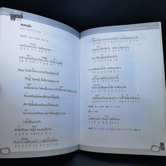 หัดเล่นอูคูเลเล่เบื้องต้น รูปที่ 13