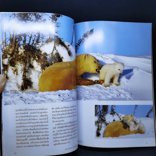National Geographic ฉบับปฐมฤกษ์ ส.ค.2544 รูปที่ 12