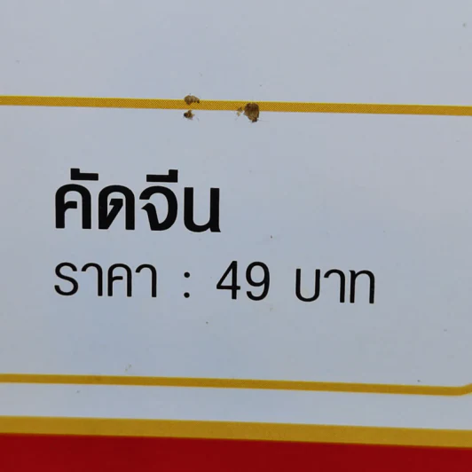 คัดจีน สำหรับผู้ที่ต้องการฝึกเขียนอักษรจีน รูปที่ 11