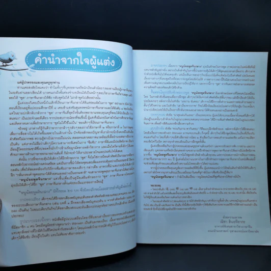หนูน้อยพูดจีนกลาง รูปที่ 9
