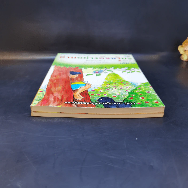 อ่านอย่างอัจฉริยะ เล่ม 1-2 ชั้นประถมศึกษา รูปที่ 3