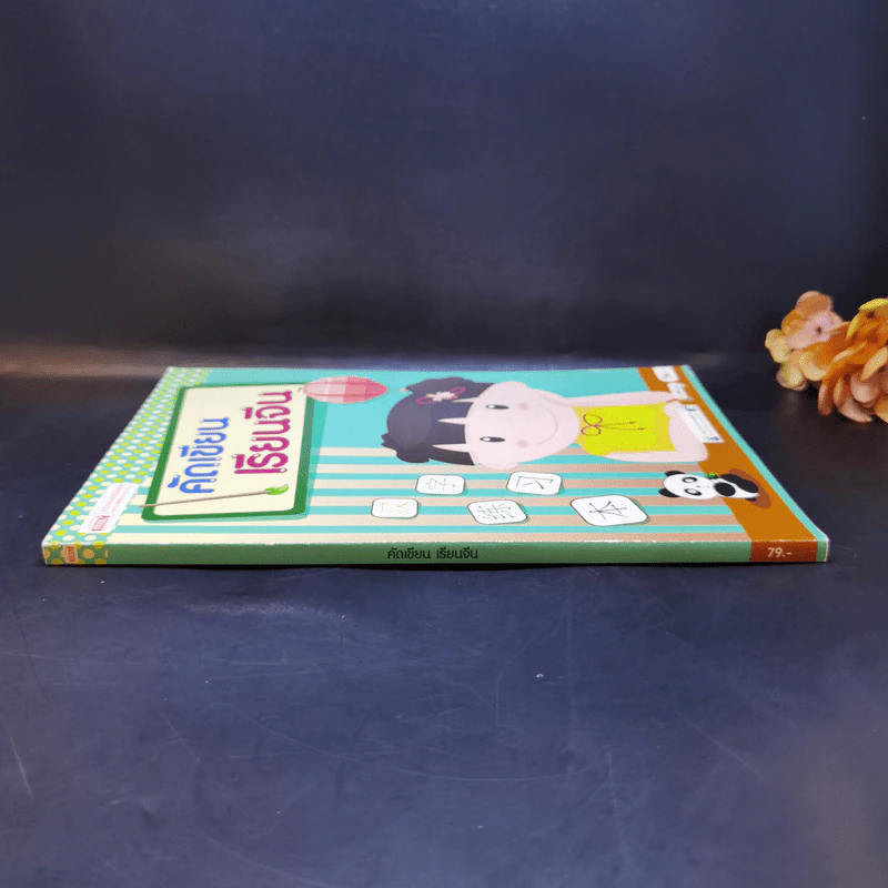 คัดเขียน เรียนจีน (หนังสือฝึกคัดอักษรภาษาจีน) รูปที่ 3