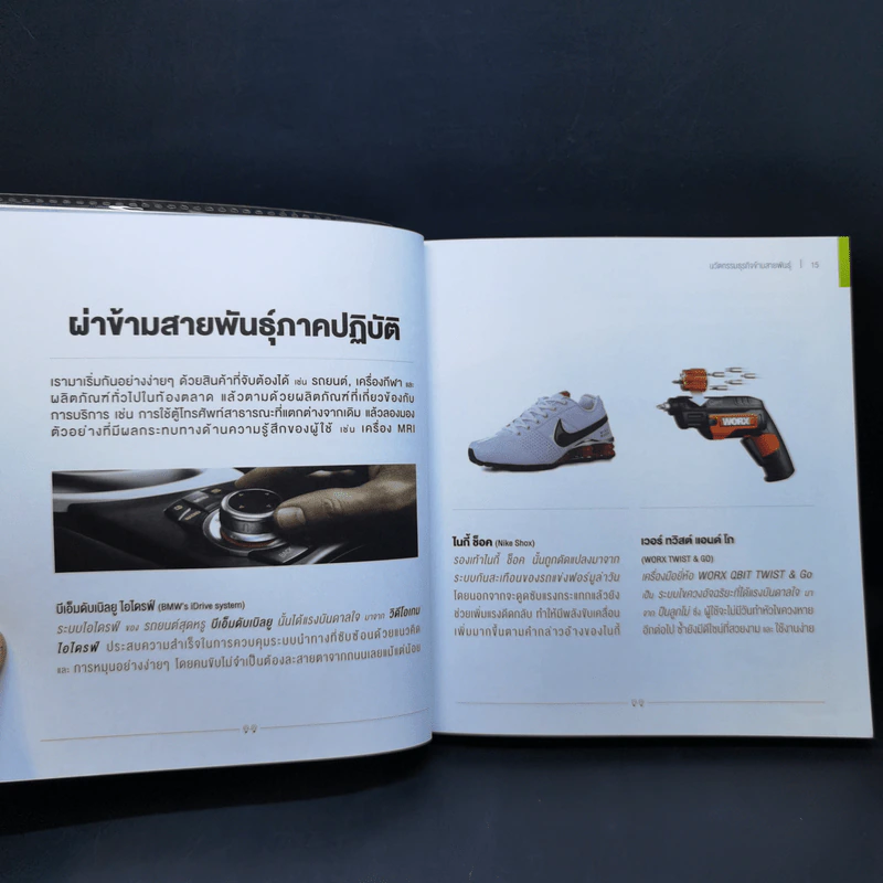นวัตกรรมธุรกิจข้ามสายพันธุ์ - รามอน วัลลิงส์ & มาร์ค เฮเลเวน รูปที่ 12