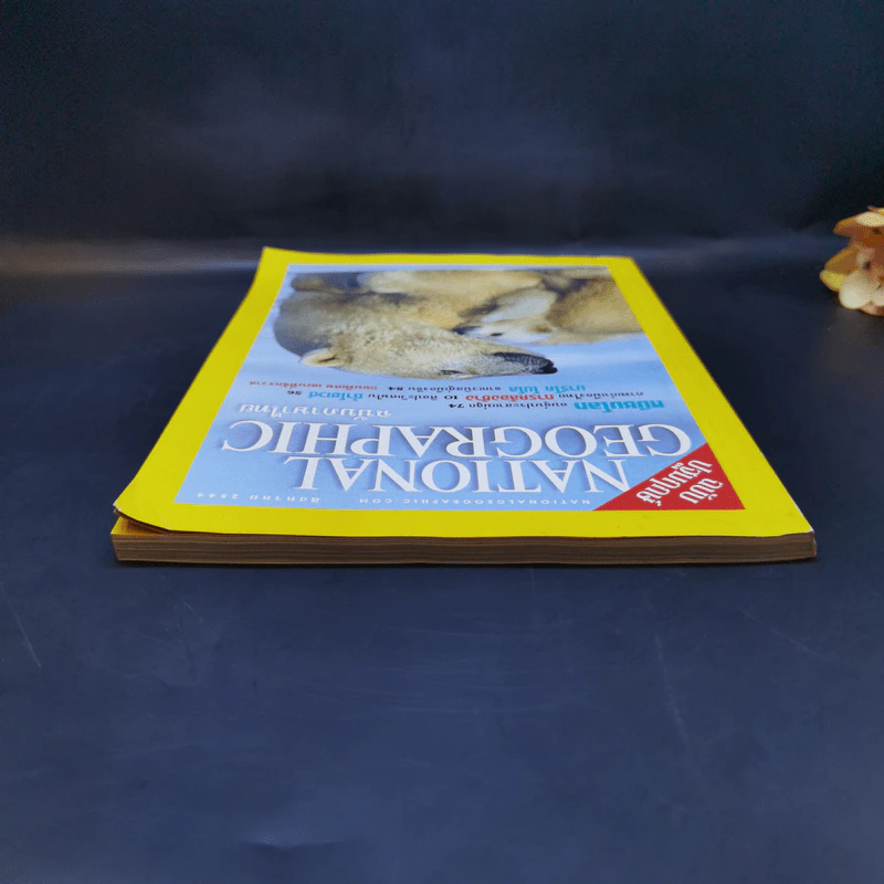 National Geographic ฉบับปฐมฤกษ์ ส.ค.2544 รูปที่ 6
