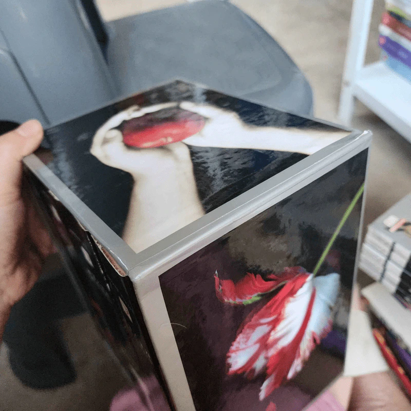 The Twilight Saga Boxset 4 เล่มจบ - Stephen Meyer รูปที่ 5