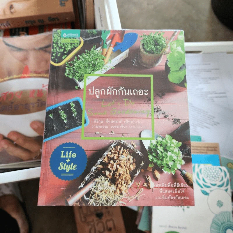 ปลูกผักกันเถอะ - ศิริกุล ชื่อต่อชาติ (ป้อม) รูปที่ 1