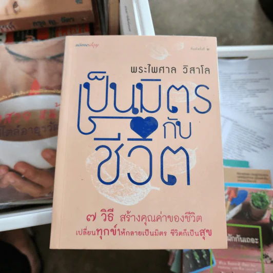 เป็นมิตรกับชีวิต - พระไพศาล วิสาโล รูปที่ 1