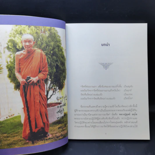 หลวงปู่ดูลย์ อริยสงฆ์ผู้เป็นบิดาแห่งการภาวนาจิต รูปที่ 9
