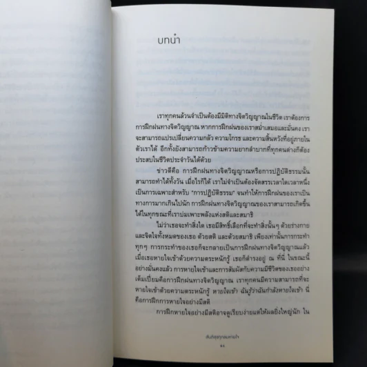 สันติสุขทุกลมหายใจ - ติช นัท ฮันห์ รูปที่ 12