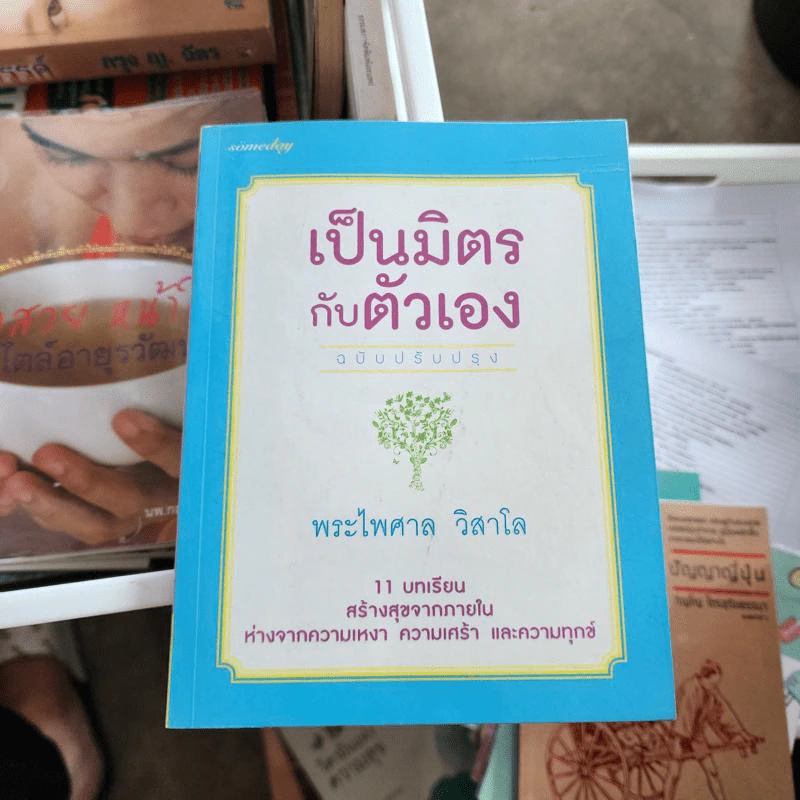เป็นมิตรกับตัวเอง - พระไพศาล วิสาโล รูปที่ 1