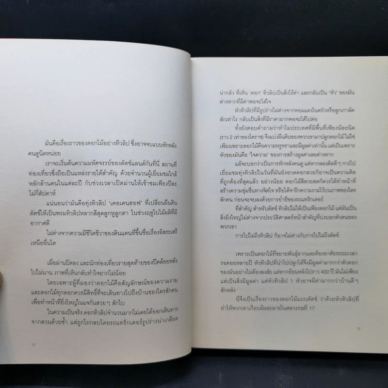 Dutchland ดัตช์แลนด์ แดนมหัศจรรย์ - Little Thoughts รูปที่ 10