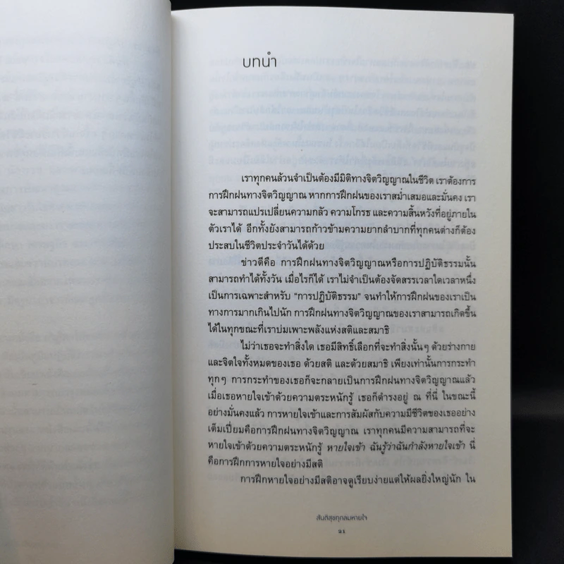 สันติสุขทุกลมหายใจ - ติช นัท ฮันห์ รูปที่ 12