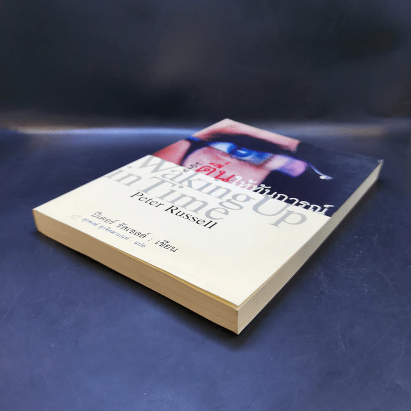 รู้ตื่นให้ทันการณ์ Walking Up in Time - Peter Russell รูปที่ 7
