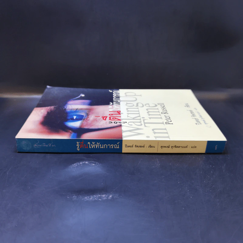 รู้ตื่นให้ทันการณ์ Walking Up in Time - Peter Russell รูปที่ 3