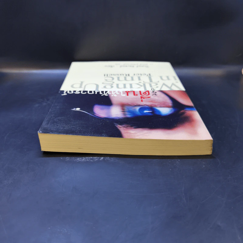 รู้ตื่นให้ทันการณ์ Walking Up in Time - Peter Russell รูปที่ 6