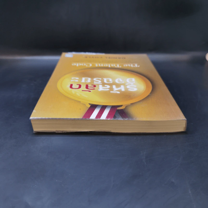 รหัสลับอัจฉริยะ The Talent Code - Daniel Coyle รูปที่ 6