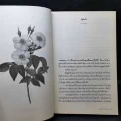 ความลับของดอกไม้ Flower Confidential - Amy Stewart รูปที่ 11