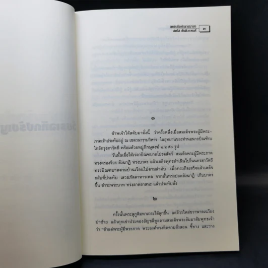 เพชรตัดทำลายมายา - ติช นัท ฮันท์ รูปที่ 12