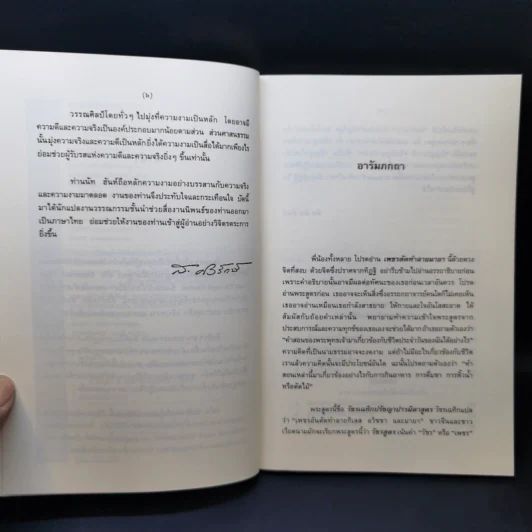 เพชรตัดทำลายมายา - ติช นัท ฮันท์ รูปที่ 9