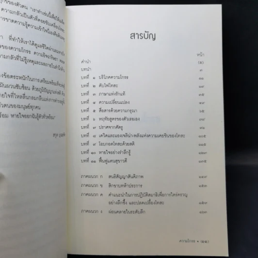 ความโกรธ ปัญญาดับเปลวไฟแห่งโทสะ - ติช นัท ฮันห์ รูปที่ 10