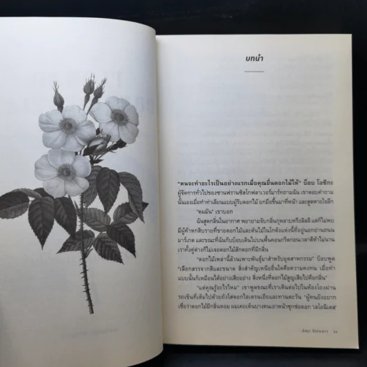 ความลับของดอกไม้ Flower Confidential - Amy Stewart รูปที่ 11
