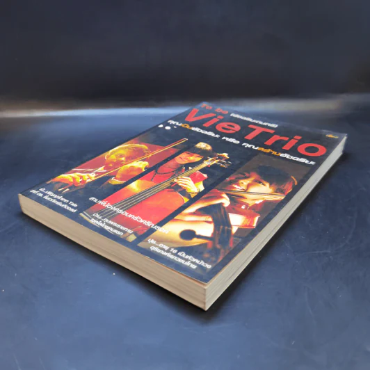 To be (อัจฉริยะดนตรี) Vie Trio คุณเป็นอัจฉริยะ หรือ คุณสร้างอัจฉริยะ รูปที่ 7