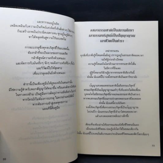 พุทธภาวะ - ไชย ณ พล รูปที่ 10
