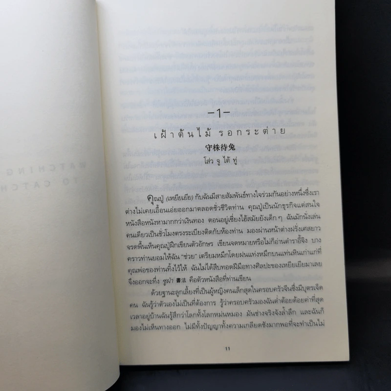 เฝ้าต้นไม้ รอกระต่าย - Adeline Yen Mah รูปที่ 10