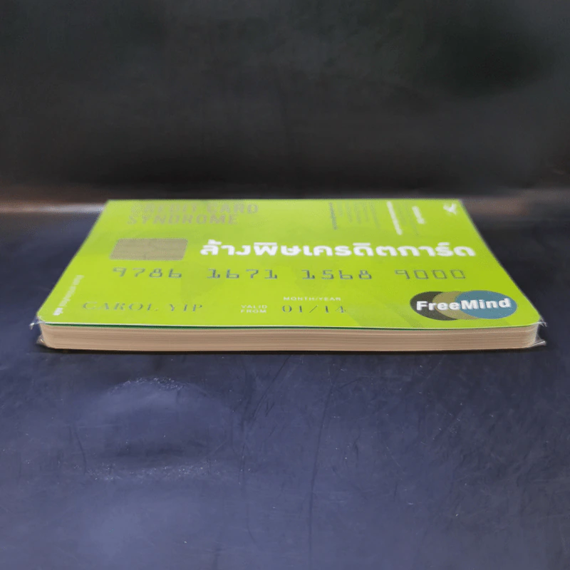 ล้างพิษเครดิตการ์ด : Credit Card Syndrome - แครอล ยิป รูปที่ 5