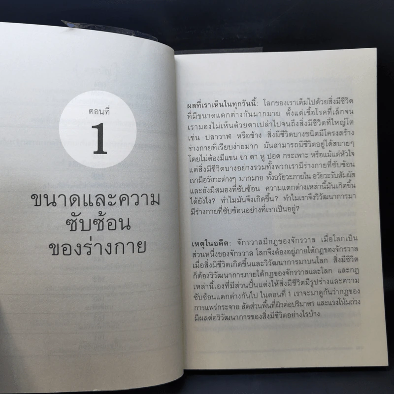 เหตุผลของธรรมชาติ - นพ.ชัชพล เกียรติขจรธาดา รูปที่ 10
