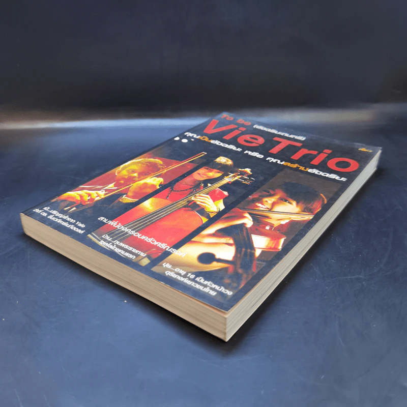 To be (อัจฉริยะดนตรี) Vie Trio คุณเป็นอัจฉริยะ หรือ คุณสร้างอัจฉริยะ รูปที่ 7