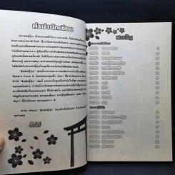 สัมผัสญี่ปุ่น - รังสินี ไชยคุณ รูปที่ 11